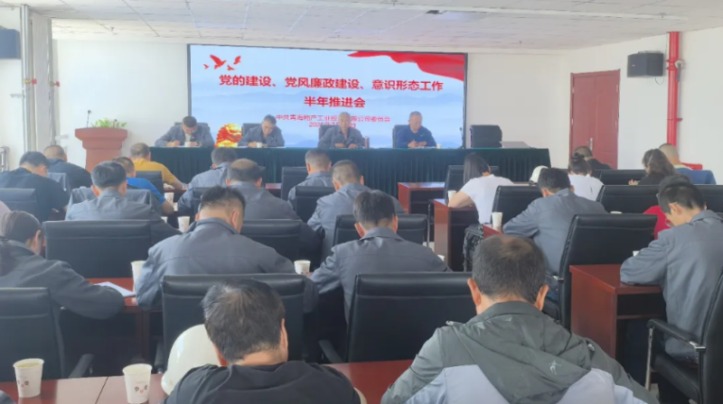 工投公司黨委召開黨的建設(shè)、黨風(fēng)廉政建設(shè)、意識形態(tài)工作半年推進(jìn)會
